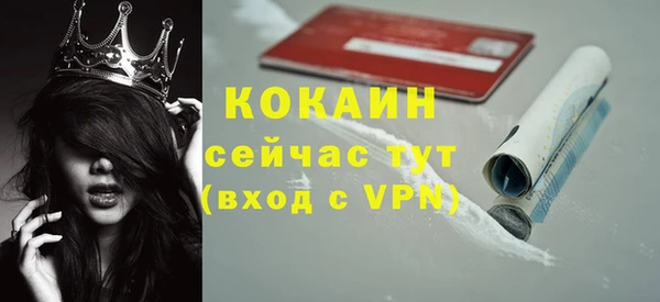 прущие грибы Орск