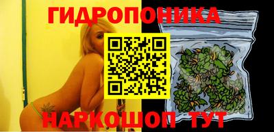 гидра Дубна