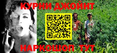 гидра Дубна