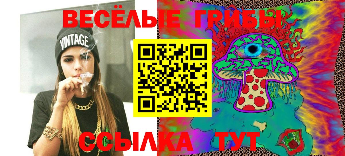 Нальчик  Галлюциногенные грибы MAGIC MUSHROOMS  что такое наркотик  Вход с VPN 