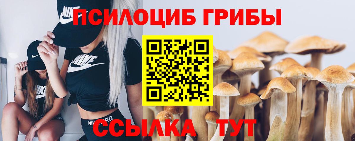 Галлюциногенные грибы ЛСД Нальчик